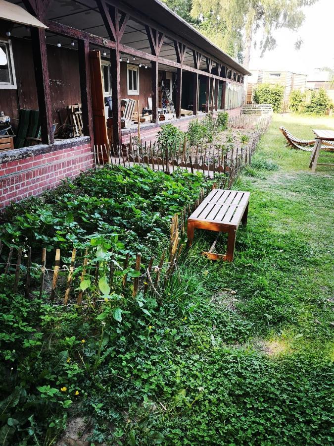 Gaestehaus Maria Rast Suderburg エクステリア 写真